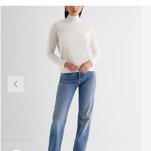 Express Supersoft Relaxed Turtleneck Long Sleeve Tunic Tee